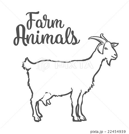 ketch of a goat with horns and udder 22454939
