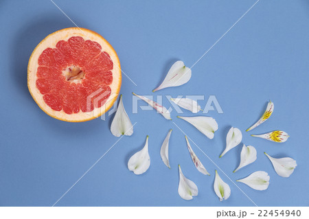 Collage of grapefruit and white flower petals 22454940
