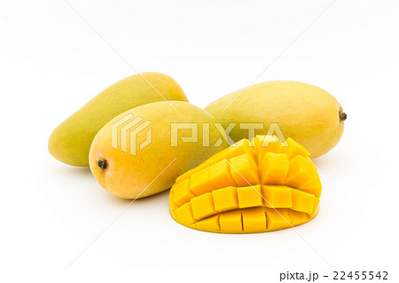 マンゴー（品種：アトルフォ）: Mango (cv. Ataulfo) 22455542