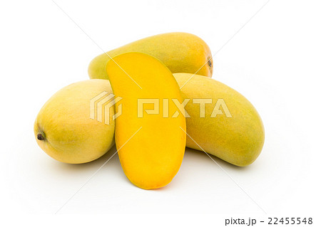 マンゴー（品種：アトルフォ）: Mango (cv. Ataulfo) 22455548
