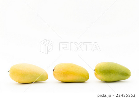 マンゴー（品種：アトルフォ）: Mango (cv. Ataulfo) 22455552