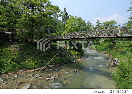 白馬の5月　大出の吊橋 22456184