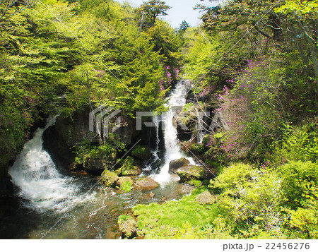 龍頭の滝 22456276