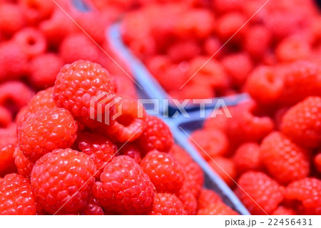 ラズベリー 22456431