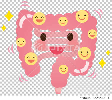 Intestinal tract bacteria lactic acid bacteria health 22456601