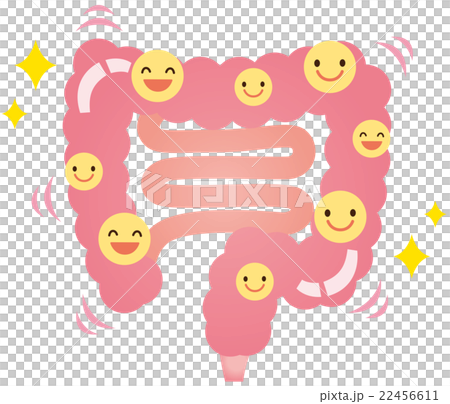 腸道細菌乳酸菌健康 22456611