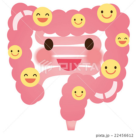 腸　善玉菌　乳酸菌　健康 22456612