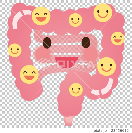 腸　善玉菌　乳酸菌　健康 22456612