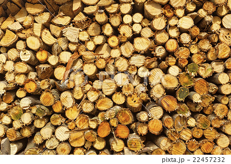 natural wooden logs 22457232