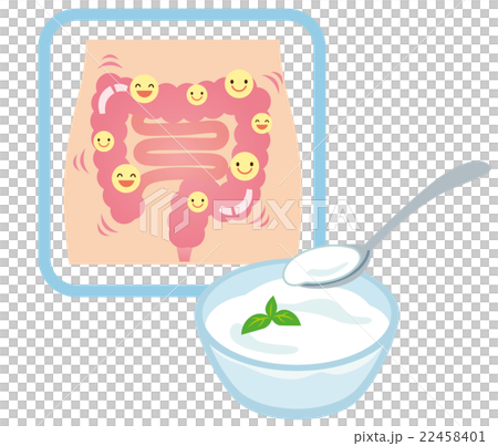 Healthy intestinal lactobacillus yogurt Healthy intestinal lactobacillus yogurt 22458401