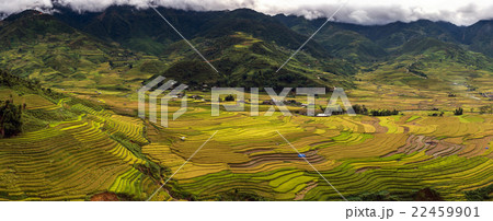 Panorama from Top view point which can see Rice terraced fields of Tu le District, YenBai province, Northwest Vietnam Panorama from Top view point which can see Rice terraced fields of Tu le District, YenBai province, Northwest Vietnam 22459901