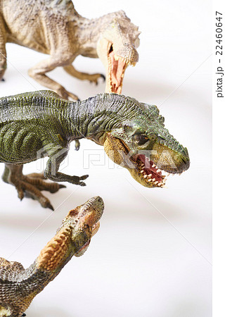 Dinosaur Dinosaur 22460647