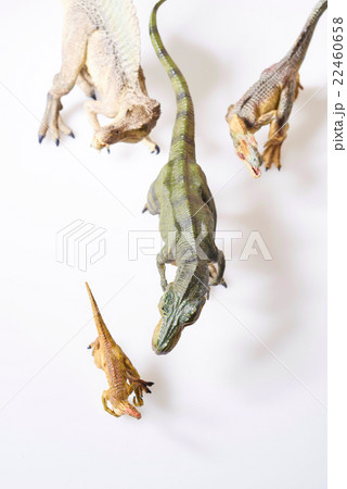 Dinosaur Dinosaur 22460658