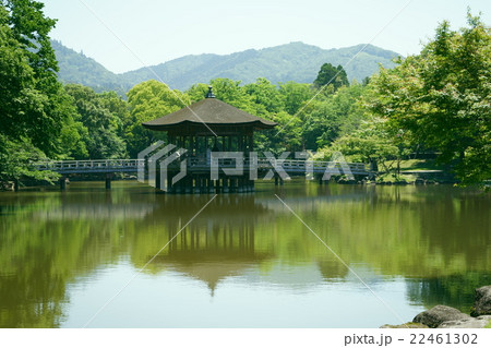 奈良公園浮御堂（新郎新婦の記念撮影） 22461302