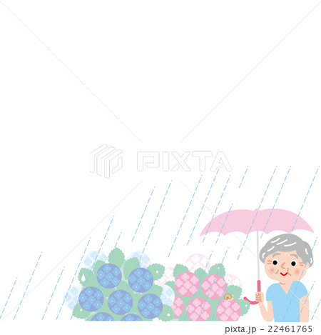 梅雨 あじさい シニアのイラスト素材