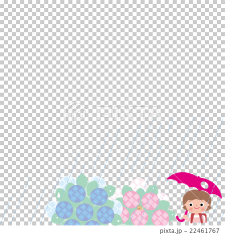 梅雨　あじさい　小学生女の子 22461767
