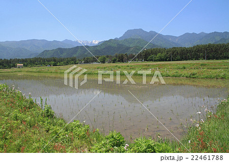 5月の安曇野 5月の安曇野 22461788