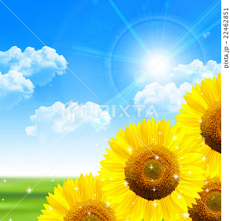 ひまわり 夏 風景 背景 のイラスト素材 22462851 Pixta