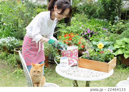 庭仕事をする女性(土を作る) 庭仕事をする女性(土を作る) 22464133
