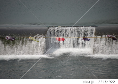 四万十川のミニ鯉のぼり 22464922