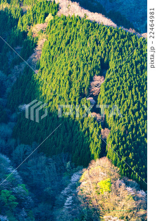 春のナメゴ谷 春のナメゴ谷 22464981