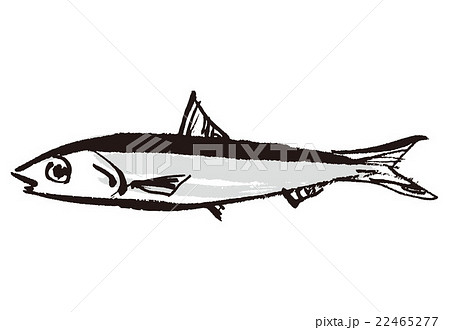 いわしのイラスト素材 22465277 Pixta
