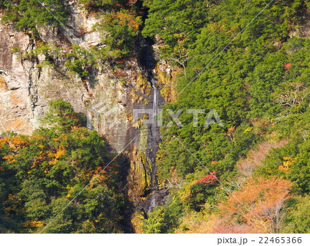 紅葉の八草の滝 22465366