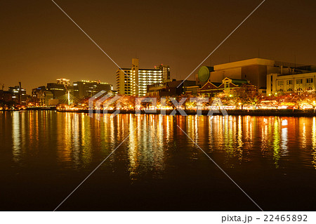 毛馬桜之宮公園の夜景 - 大阪市 - 大阪 22465892