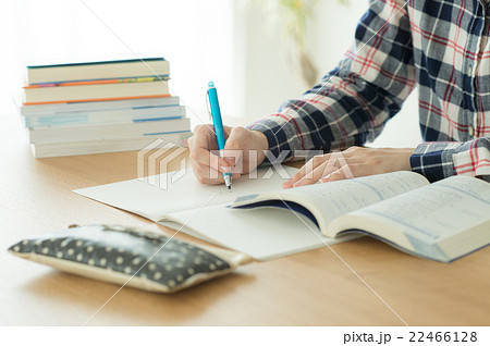 勉強する女性 22466128