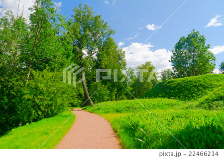 beautiful summer park 22466214