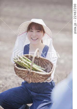 アスパラ農家 アスパラ農家 22467200