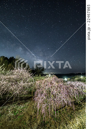 月ヶ瀬梅林の星空 22467865