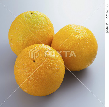 甘夏3個 甘夏3個 22467925