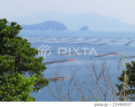 戸島 宇和島市 戸島 宇和島市 22469037