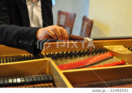 グランドピアノ調律（手元のみ） 22469591