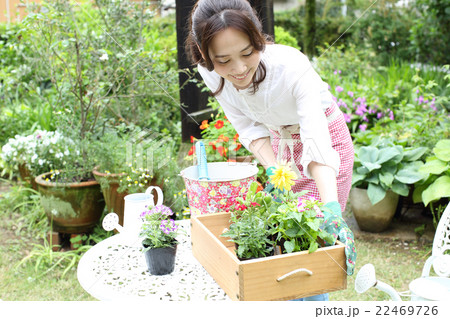 植えつける苗を選んでいる女性 22469726