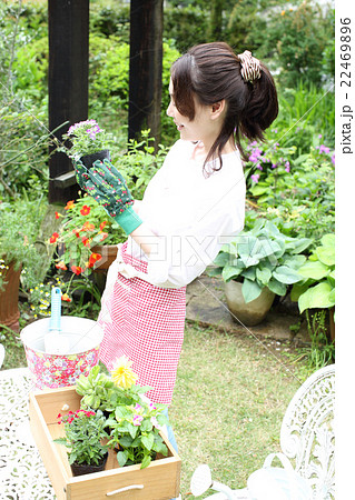 バーベナを植える女性 22469896