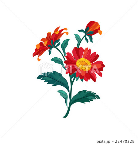 Treasure Flower Hand Drawn Realistic Illustration 22470329