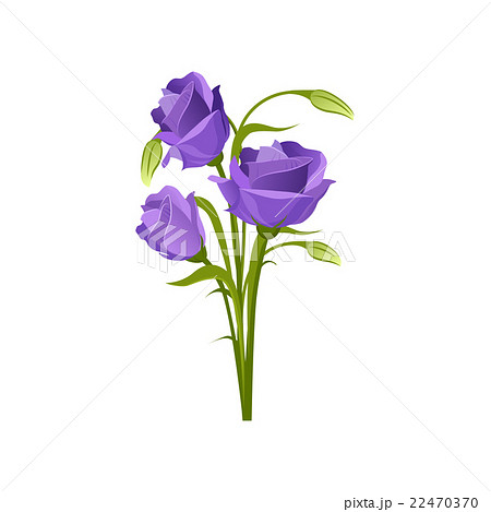 Eustoma Hand Drawn Realistic Illustrationのイラスト素材