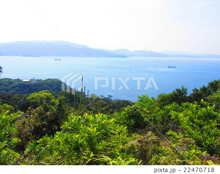 展望台から望む風景 22470718