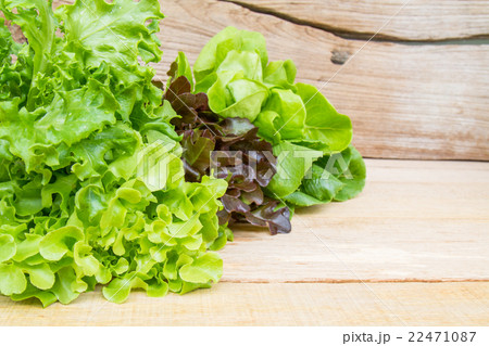 Vegetable Salad Vegetable Salad 22471087