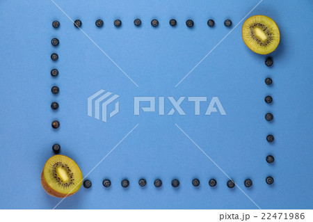 Kiwi with frame of blueberries 22471986