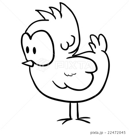 simple black and white chicken simple black and white chicken 22472045