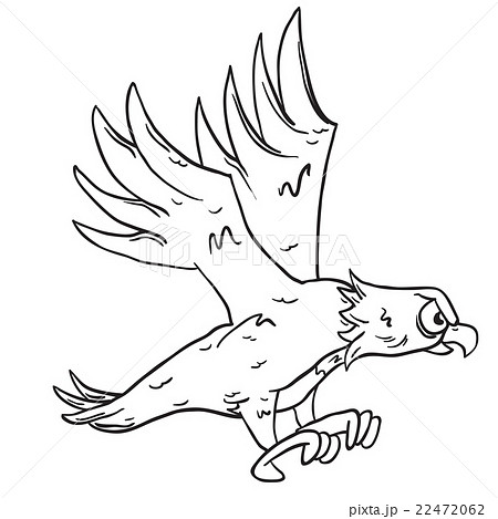 simple black and white eagle - Stock Illustration [22472062] - PIXTA