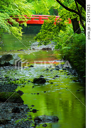 静岡県・森町・小國神社の新緑と小川 22473625