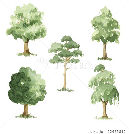 Flat Vector Detailed Trees – Toffu Co