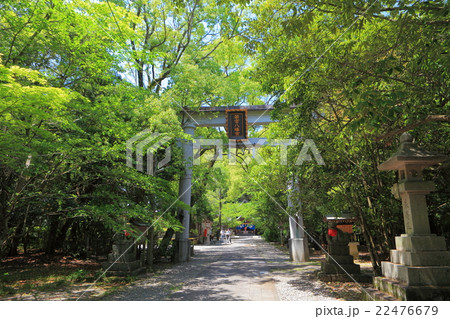 若宮八幡宮(高知) 若宮八幡宮(高知) 22476679