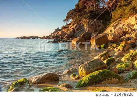 Detail of the Spanish coast (Costa Brava) 22476826