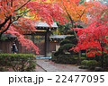 紅葉 22477095