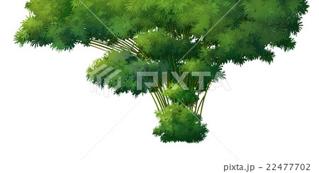 bamboo on over with background 22477702